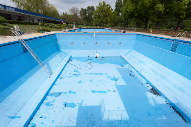 Best Water damage mitigation services  in Dundee, OR
