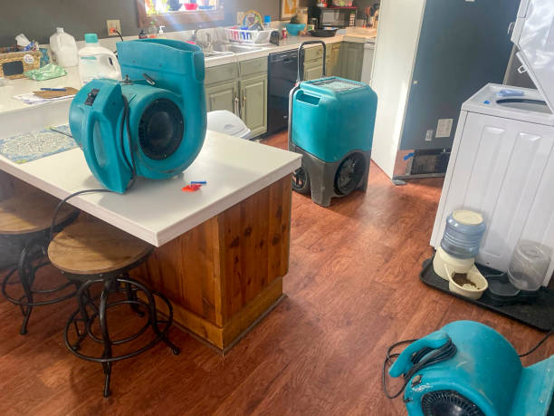 Best 24/7 water damage repair  in Dundee, OR