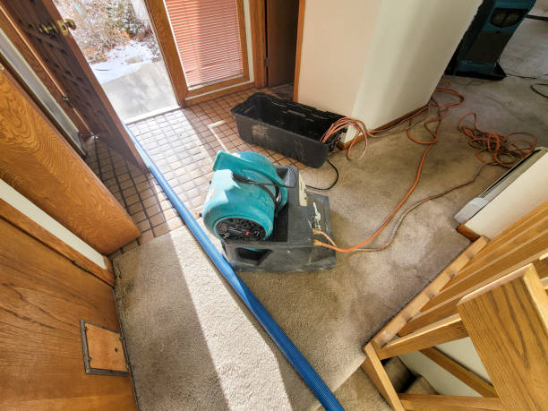 Sewage cleanup and water damage restoration in Dundee, OR