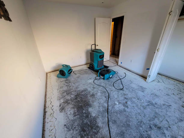 Best Emergency water damage restoration  in Dundee, OR
