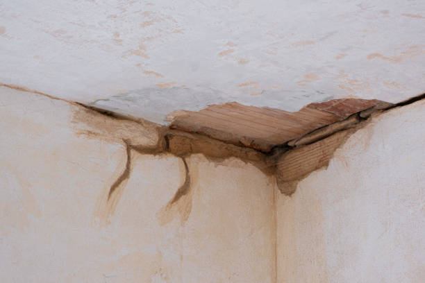 Best Water damage cleanup near me  in Dundee, OR