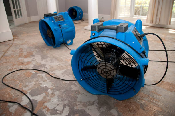 Best Water damage contractors near me  in Dundee, OR