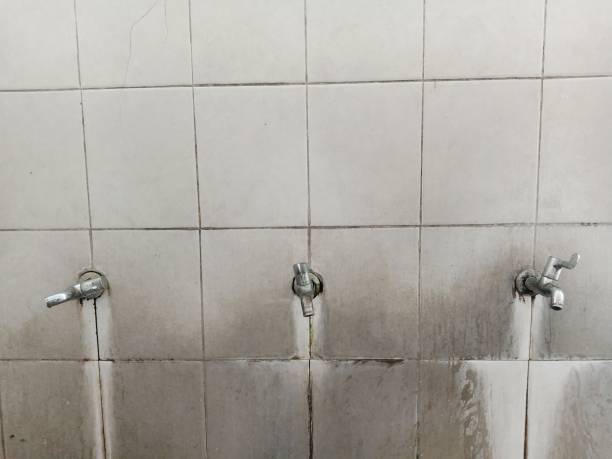 Best Sewage cleanup and water damage restoration  in Dundee, OR