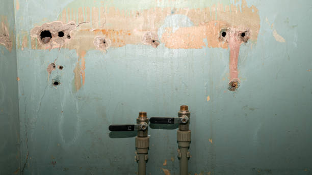 Best Mold removal after water damage  in Dundee, OR