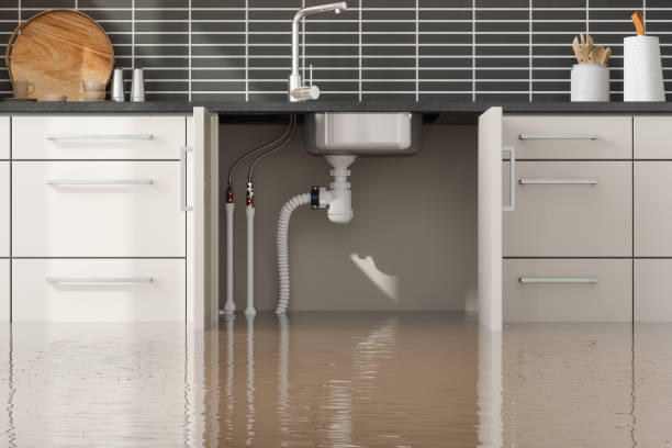 Best Commercial water damage restoration  in Dundee, OR