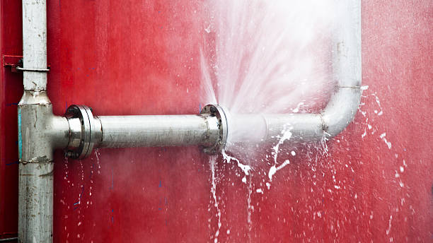 Best Carpet water damage restoration  in Dundee, OR