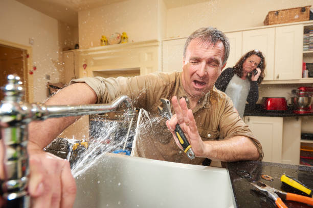 Best Basement water damage restoration  in Dundee, OR